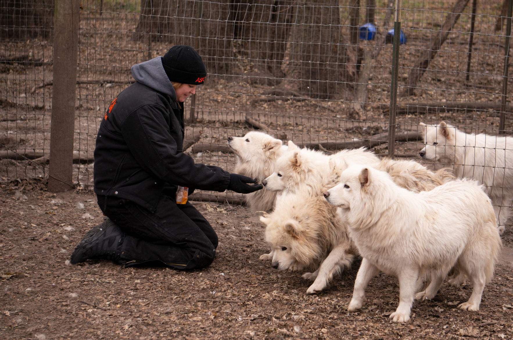 FIR_PuppyMill_WorthCo_IA_Nov1218_0182.JPG